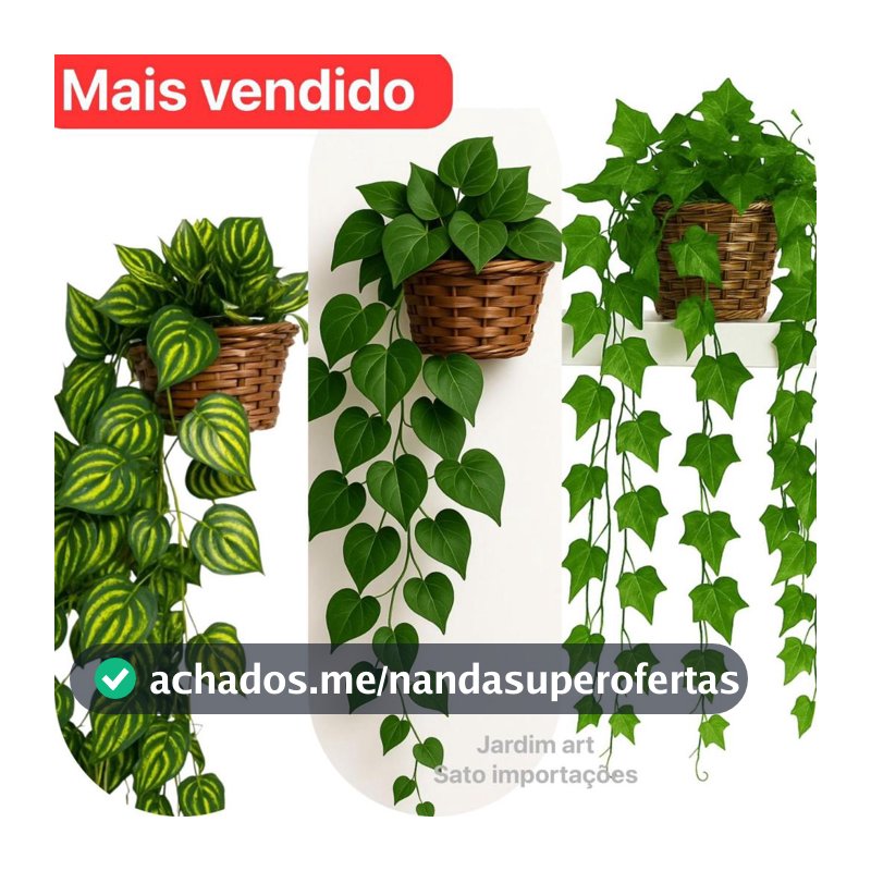 Arranjo c/ 3 Trepadeira Folha de HERA + Vaso Trançado Marrom