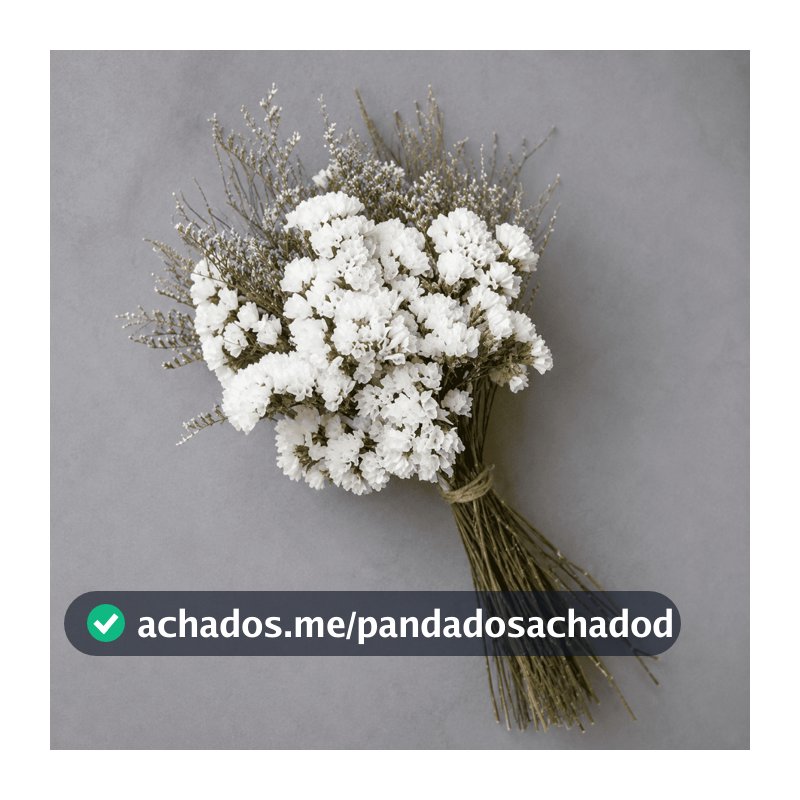 Buquê de flores secas naturais desidratadas tamanho P