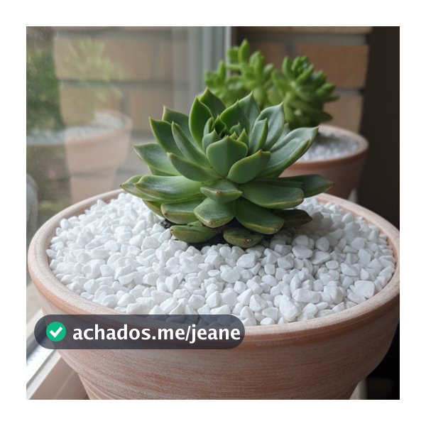 Pedrisco Cascalho Branco Nº1 1Kg Naturais para Jardins, Vasos e Aquários