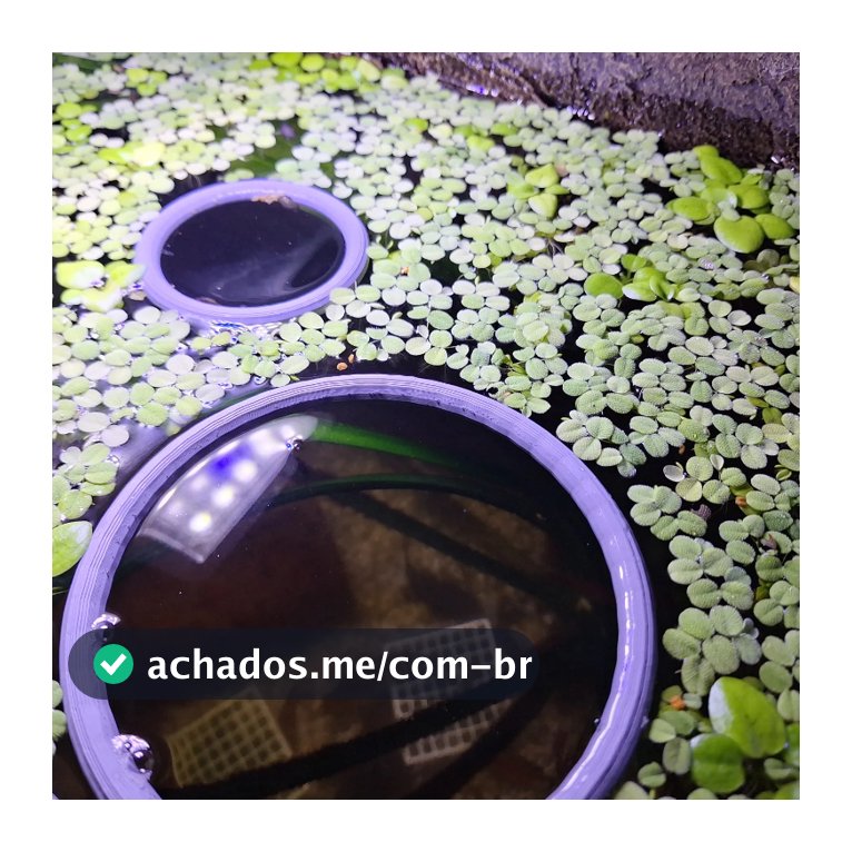 Kit com 3 Anéis Flutuantes – Separador de Plantas e Anel de Alimentação para Aquários Aquarismo Decoração