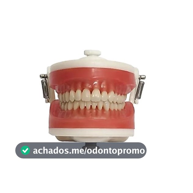 Manequim Top Dentística Pd100 - Pronew
