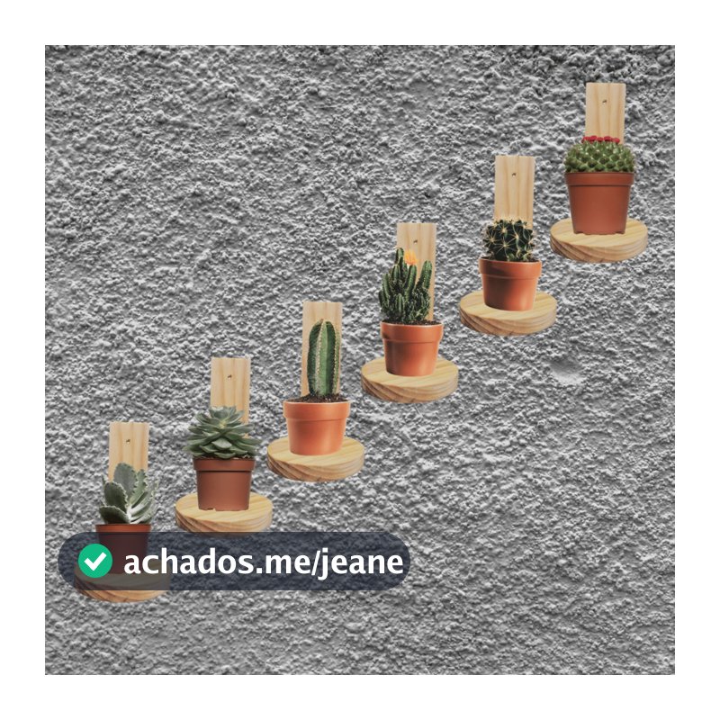 KIT 6 Prateleiras decorativas nicho de parede suporte de madeira pinus para vasos suculenta Pinus