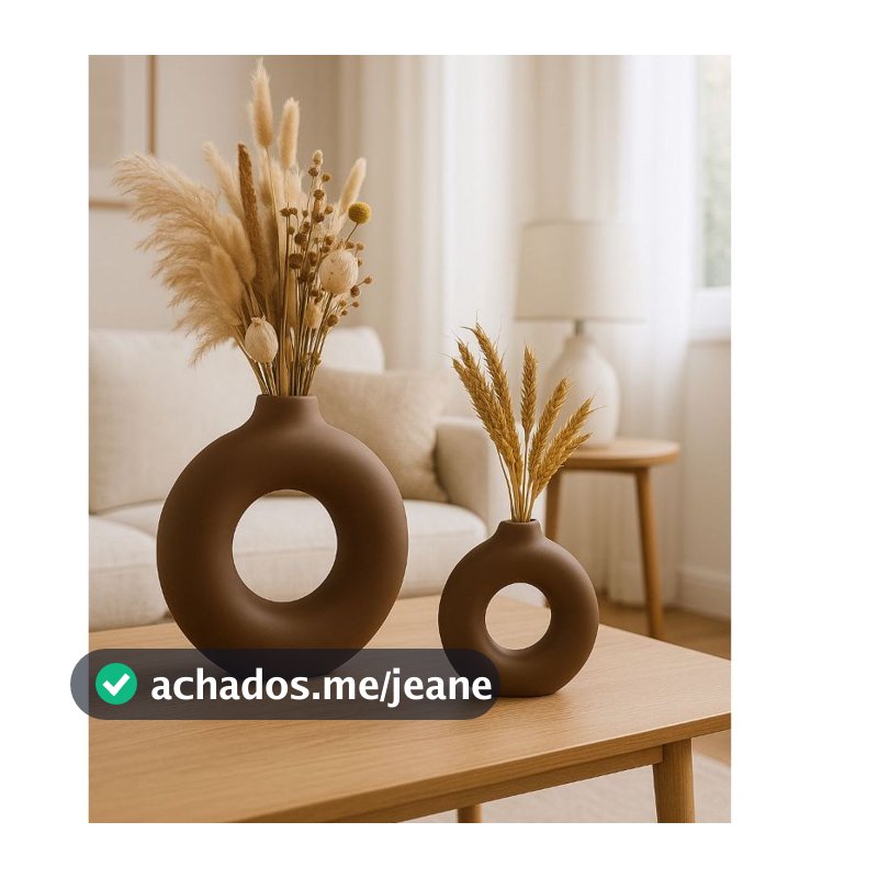 Dupla De Vaso organico decorativo Decoração DE Sala E Casa