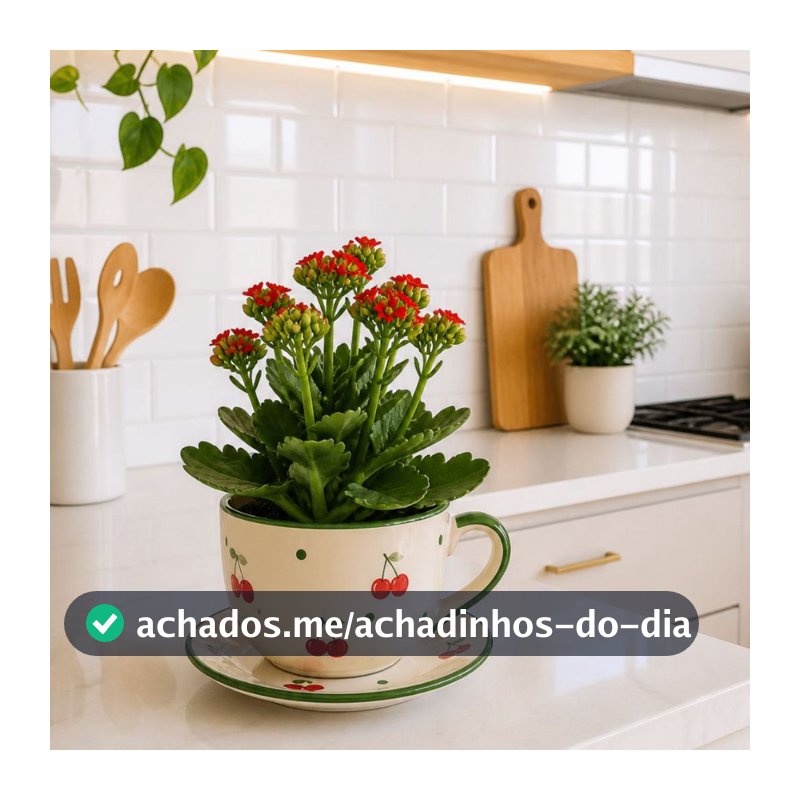 Xicara Cachepot Em Cerâmica Decorativa