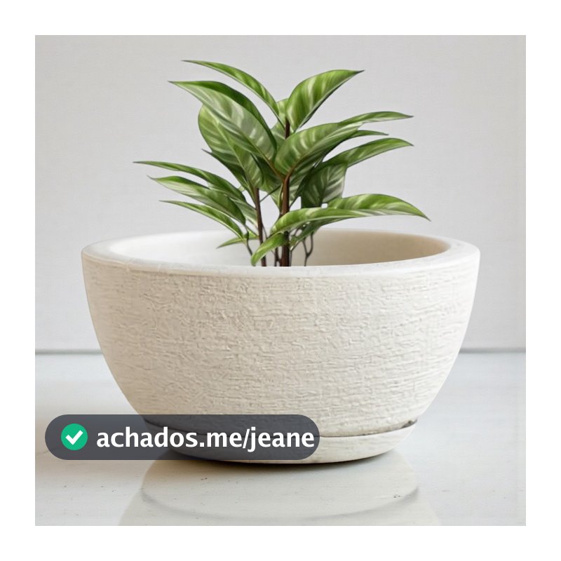 Vaso de Planta Decorativo Bacia Escovada 13x25 com Prato em Polietileno Suculentas e Cactos