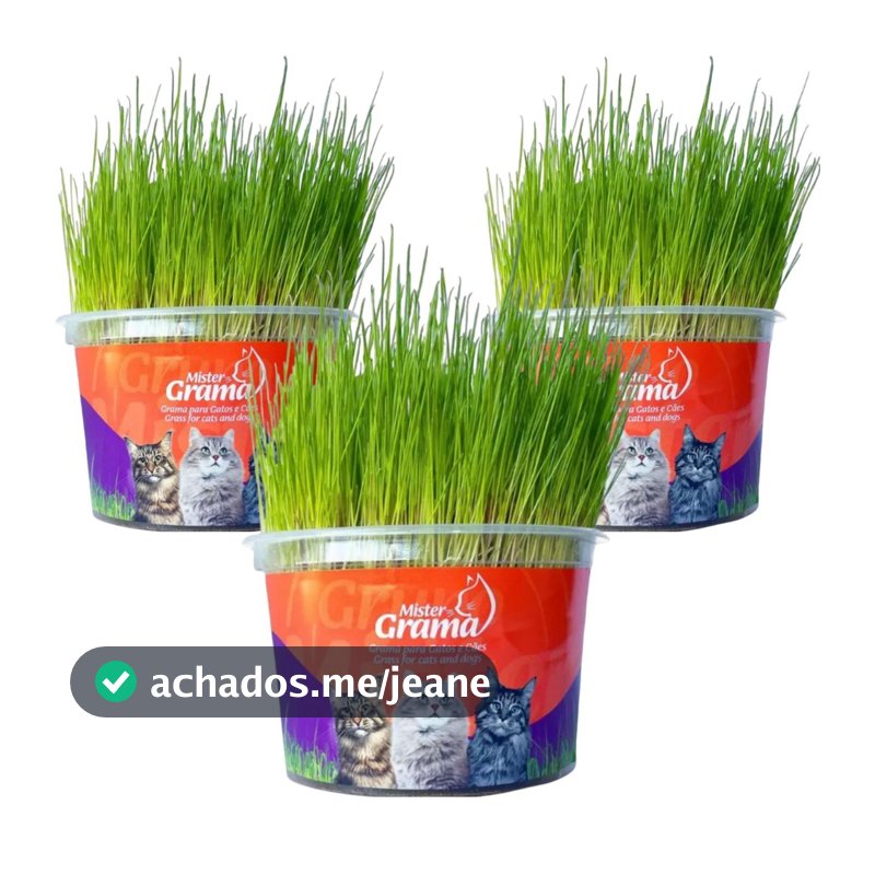 Kit 3un Graminha para Gatos - Mister Grama