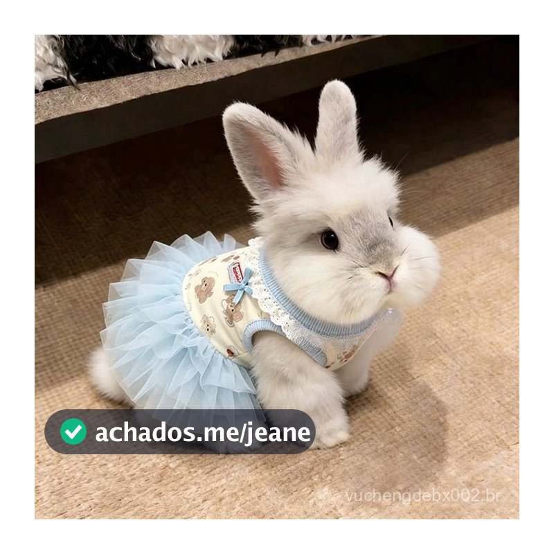 Roupas para coelhos anões, coelhos orelhudos, animais de estimação, cães, gatos, cães pequenos, Bichon Frise, vestido pa
