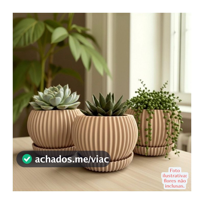 Vasos suculentas decorativos cachepô plantas naturais com bandeja (escolha 1,2 ou 3 unidades)