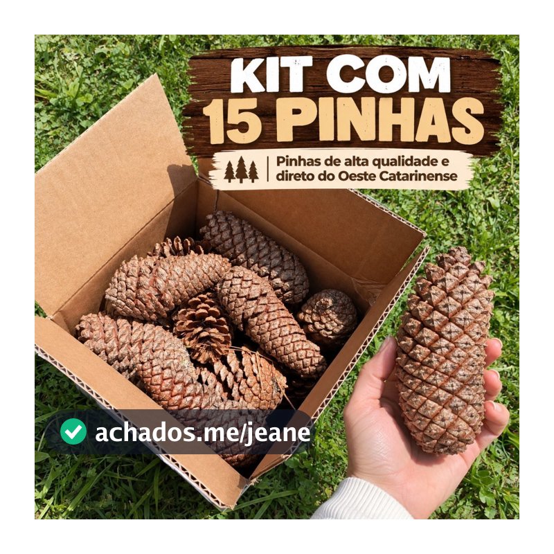 Kit com 15 Pinhas Naturais para Arvore de Natal Decoração