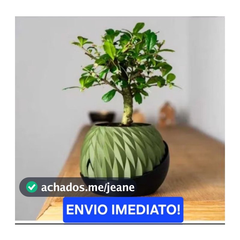 Vaso Autoirrigável com Reservatório – Rega Sozinha, Chega de Planta Murcha