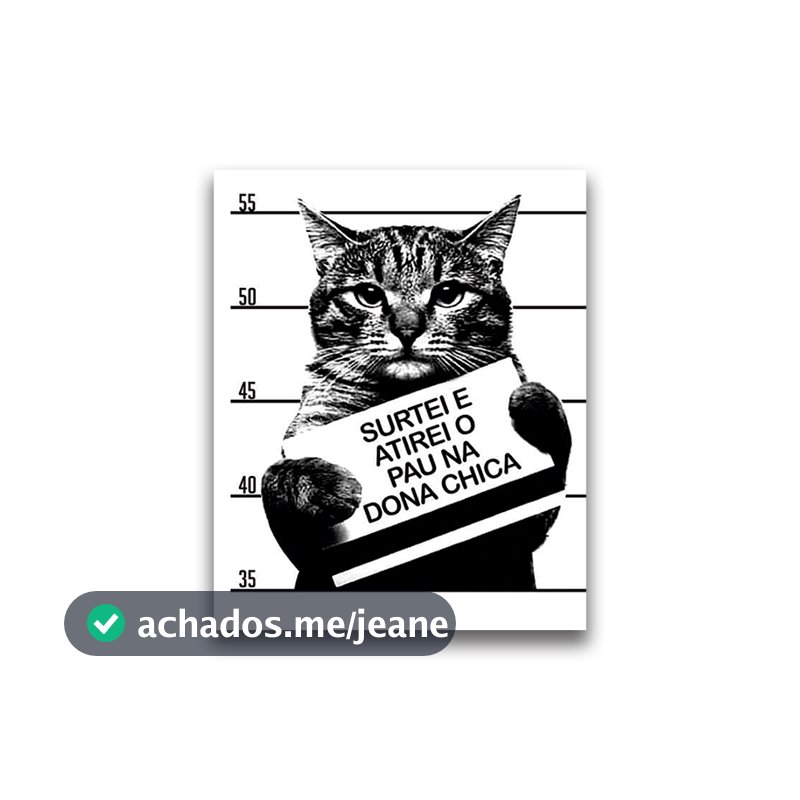 Quadro Decorativo Meme Gato Surtei Atirei o Pau Na Dona Chica