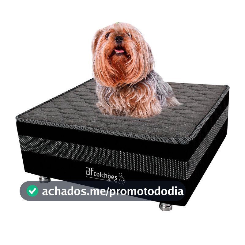 Cama Box Pet Com Lençol Impermeável Branco Para Cachorros e Gatos 60x60x24cm BF Colchões