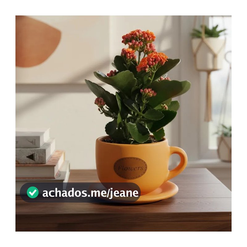 Vaso de Flor Cachepot decorativo Xicara com Pires