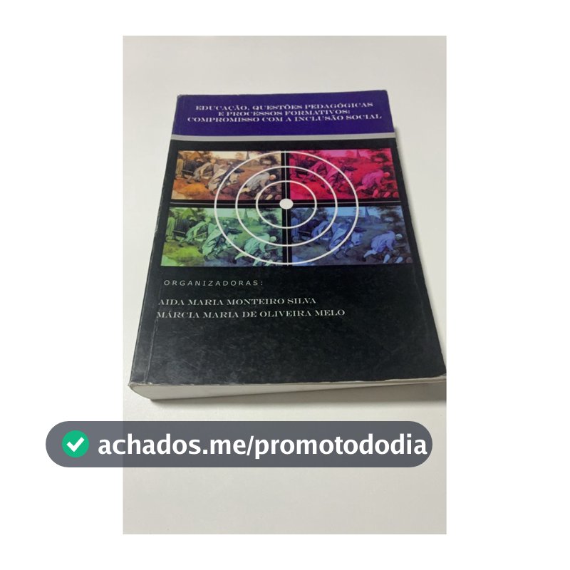 Educação, Questões Pedagógicas e Processos Formativos: Compromisso com a Inclusão Social