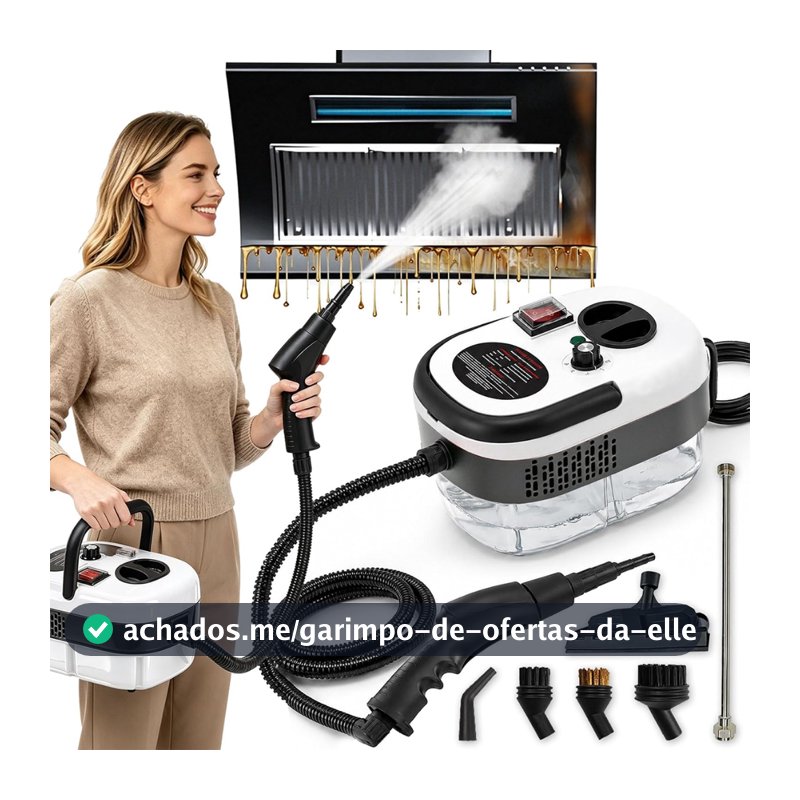 （110V）Limpador a vapor portátil de 2500 W, máquina de limpeza de alta temperatura e alta pressão de 110V -D14