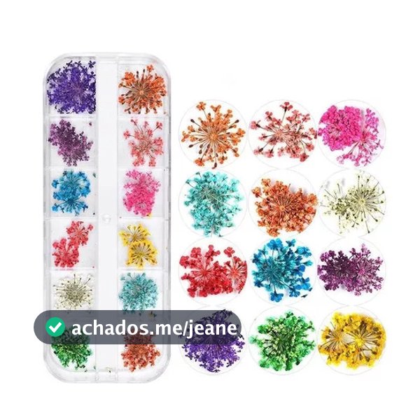 Decoradas (12 Cores) Flor Seca para Unhas