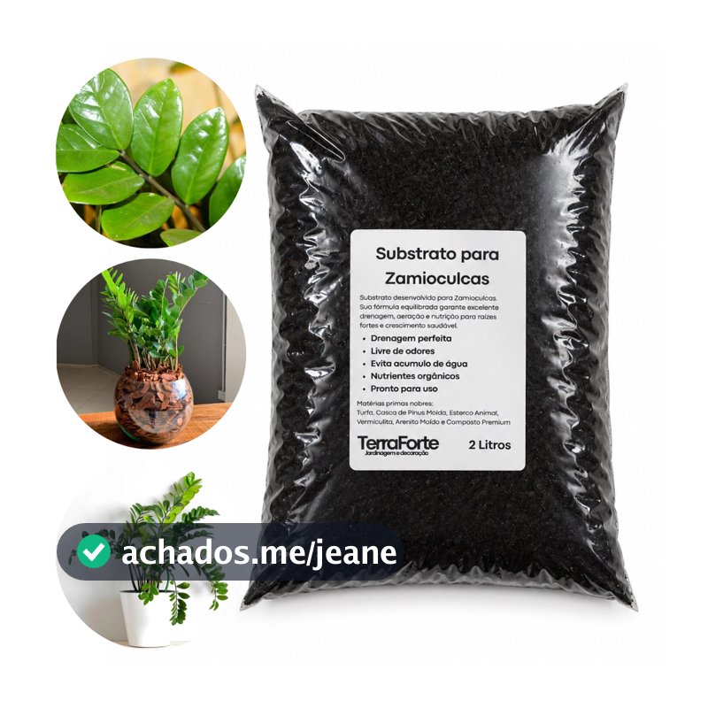 Substrato para Zamioculca – Planta da Fortuna / Pronto para Uso, plantas lindas / Envio Rápido!