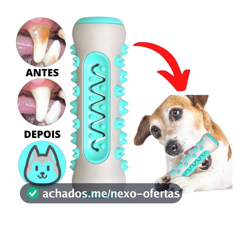 Brinquedo Pet 3x1 Mordedor Osso Massageador Gengiva Removedor Tártaros Escova de Dente Para Pets