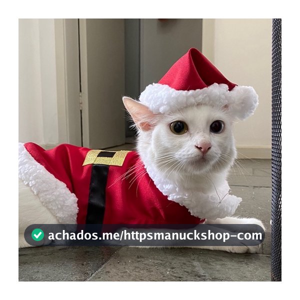 Roupa pet NATAL para cachorro e gato papai Noel , FANTASIA PET NATAL