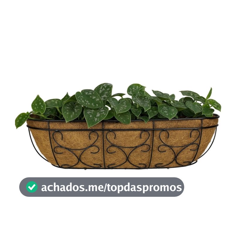 Vaso Jardineira de Fibra de Coco 60cm e Suporte Para Parede