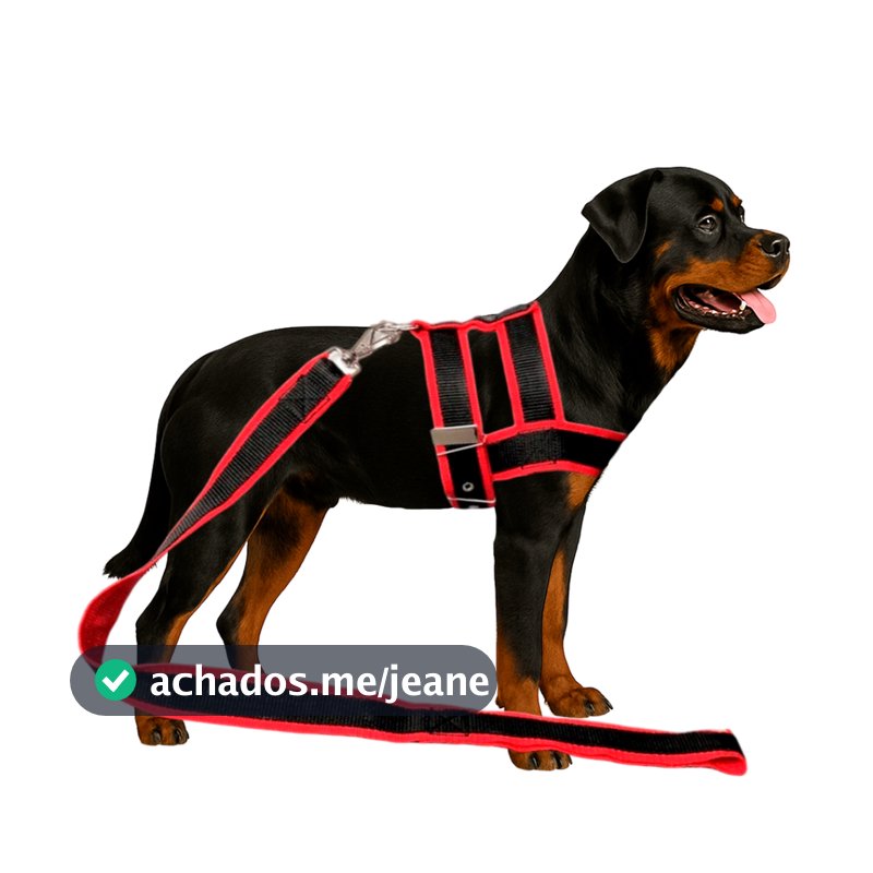 Conjunto Peitoral Com Guia De Nylon Duplo Especial Super Resistente Para Cachorro Cão Grande Porte