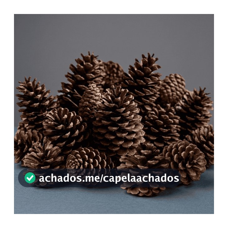 Kit Pinha Natural para Enfeite Decoração Árvore de Natal e Artesanato Guirlanda Pendente Natalino