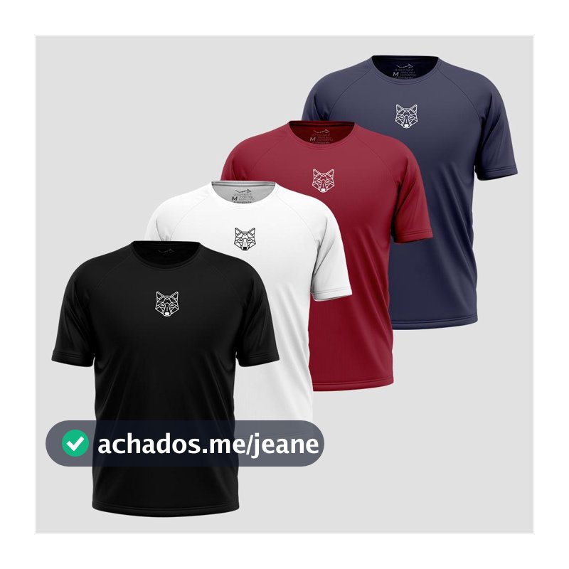 Kit 4 Camisetas Masculina Dry Alpha Co