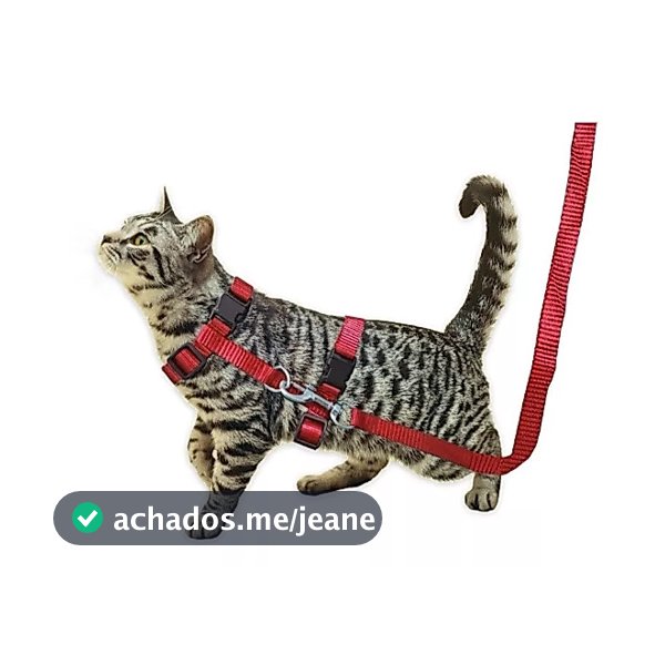 COLEIRA PEITORAL PARA GATOS COM GUIA E REGULAGEM – CONFORTÁVEL E AJUSTÁVEL