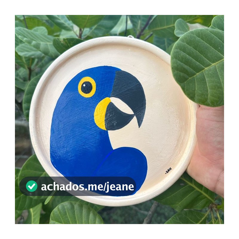 Prato decorativo de argila para parede - Coleção puro suco ARARA