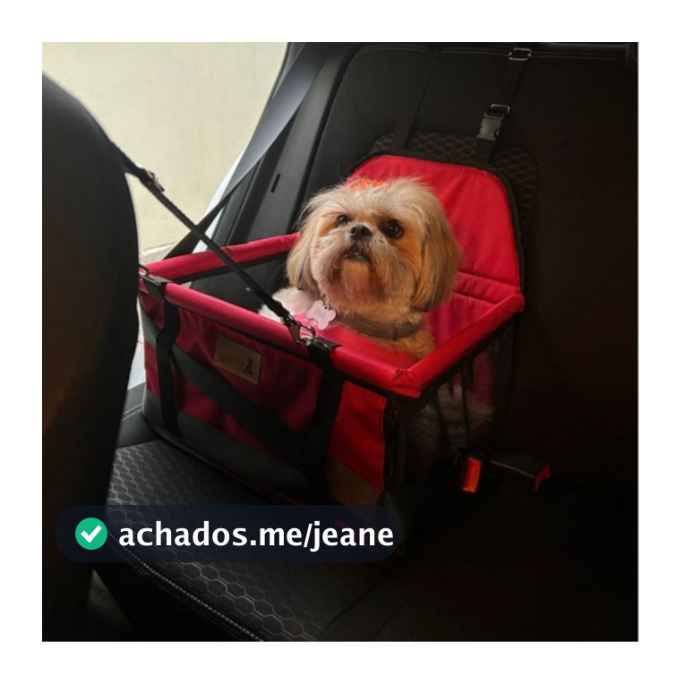 Cadeirinha Cadeira Assento Pet de Carro para Cães Cachorro, gatos Transporte