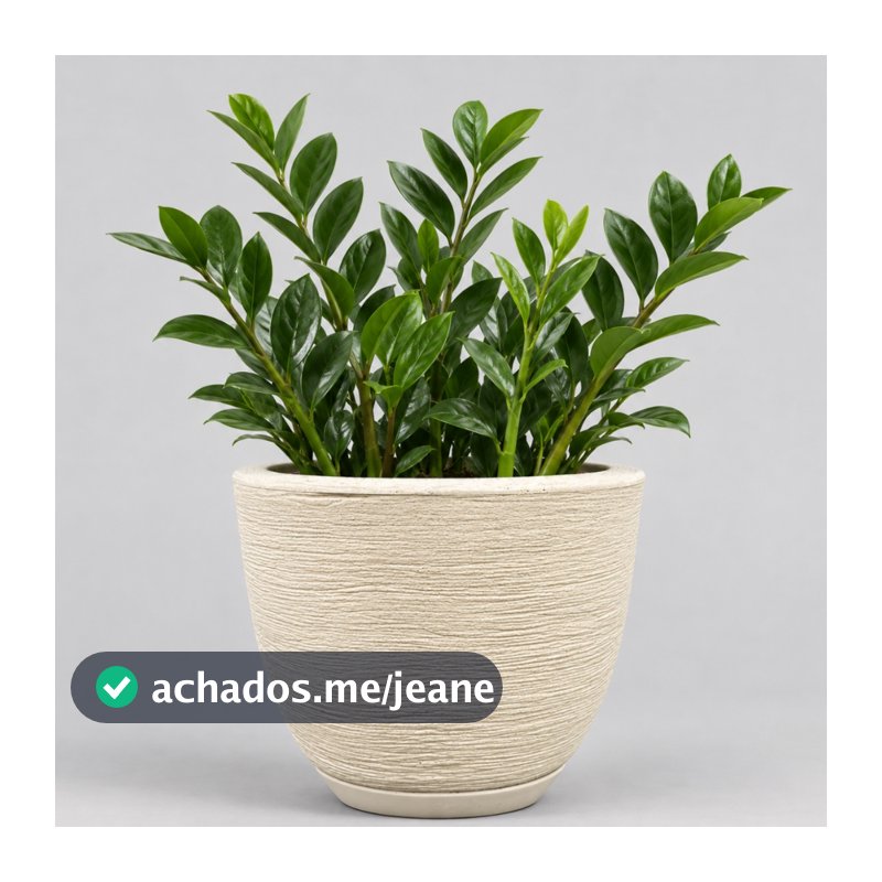 Vaso Polietileno Para Plantas Jardim Sala Luxo escovado bojo pequeno Com Prato