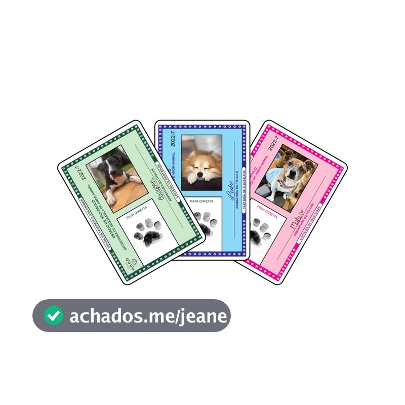 RG PET - Documento de Identidade para Cachorro Gatos e Animais de Estimação - C/Capa Plástica