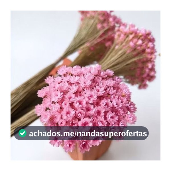 Sempre Viva na cor Rosê I Kits com 2.000 / 400 / 200 Flores secas Premium