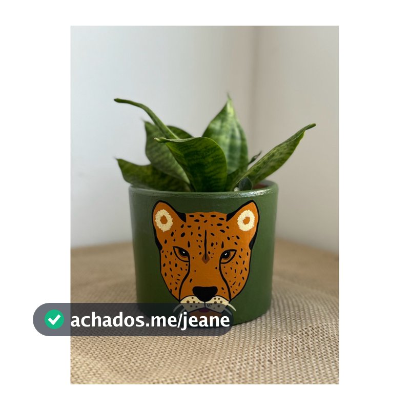 Onça - Vaso de cerâmica Artesanal
