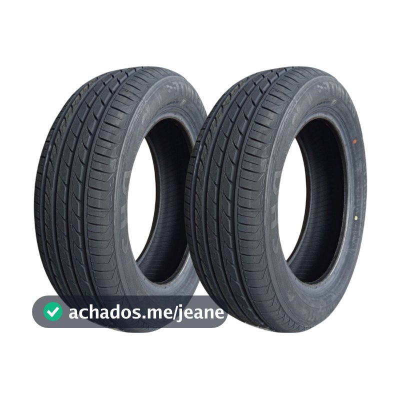 Kit 2 Pneu Delinte Aro 16 205/65r16 99h Dh2