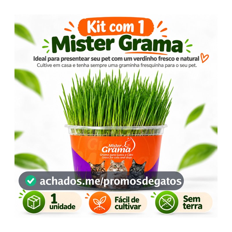 GRAMA PARA GATO MISTER FÁCIL DE PLANTAR E AJUDA NAS BOLAS DE PELO