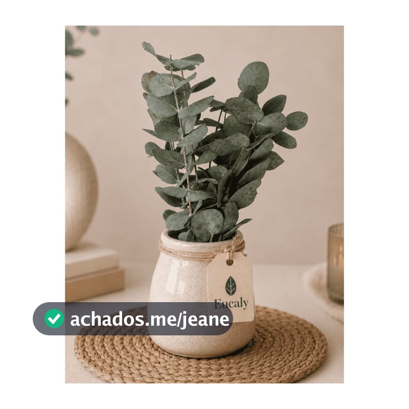 Buquê de Eucalipto Desidratado Natural Decorativo 10 Hastes Aroma Suave Decoração Boho Minimalista
