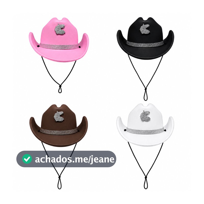 Chapéu de cowboy 10 unidades meus produtos