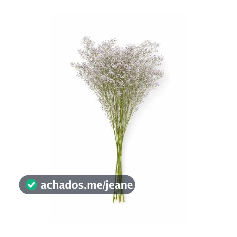 Buquê de Limonium desidratada para Decoração