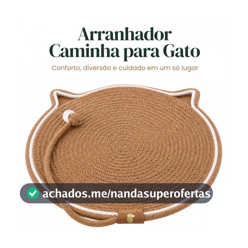 Arranhador Tapete Cama Gato Bolinha Interativo Brinquedo DudanPet + Brinde