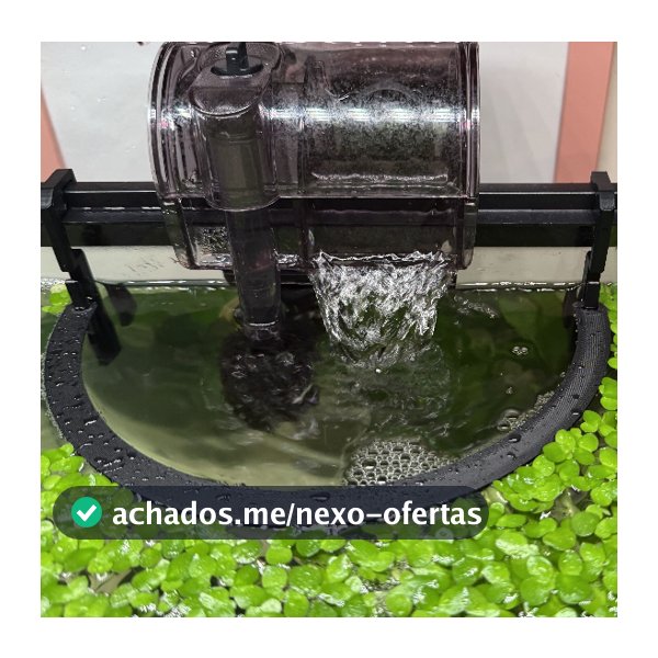Anel Flutuante para Hang On em Aquário Plantado | Evita que Plantas e Peixes Sejam Sugadas Aquarismo