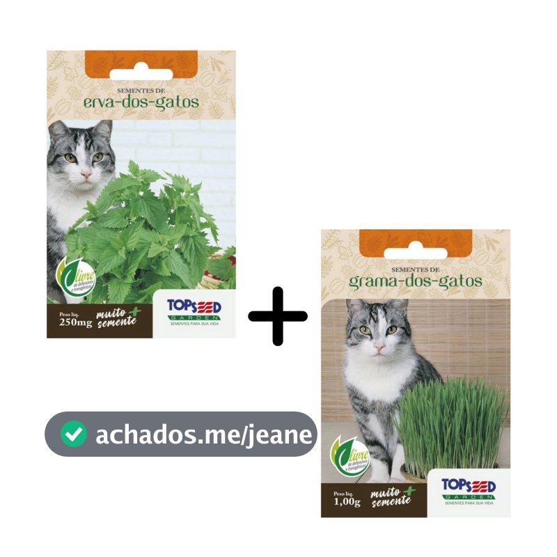 Kit Semente Erva dos Gatos[Catnip] +Grama[Cat Grass] TOPSEED