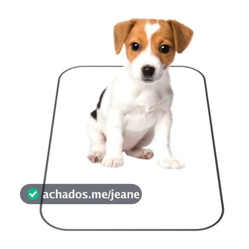 Kit 4 Tapete Higiênico Caes Lavável Cachorro Xixi Dog Grande Preto