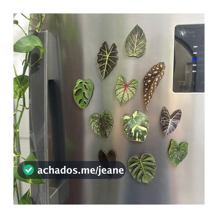 Kit Ímãs Folhagens Tropicais 11 Folhas Realistas para Geladeira e Murais
