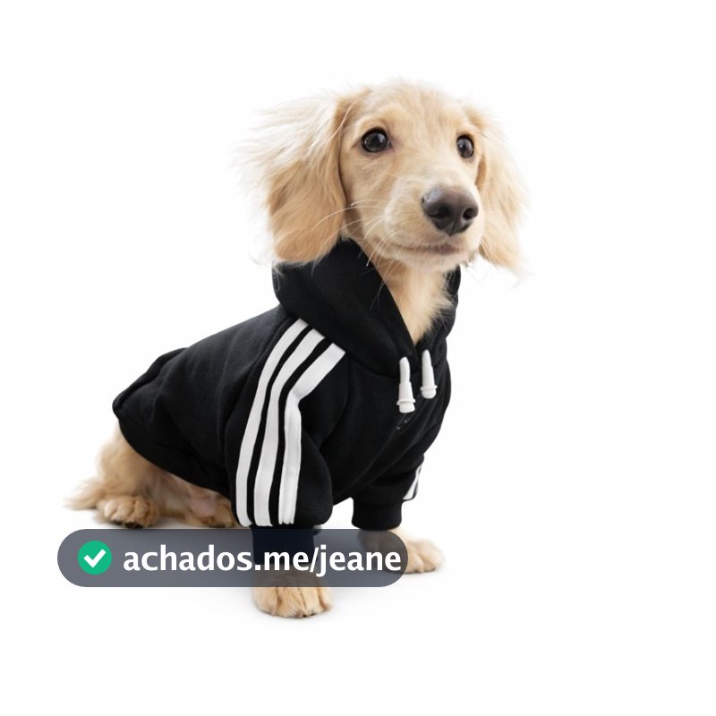 Moletom PELUCIADO para cachorro  Pet moletom com touca moletom bem quente moletom para cachorro pequeno médio e grande