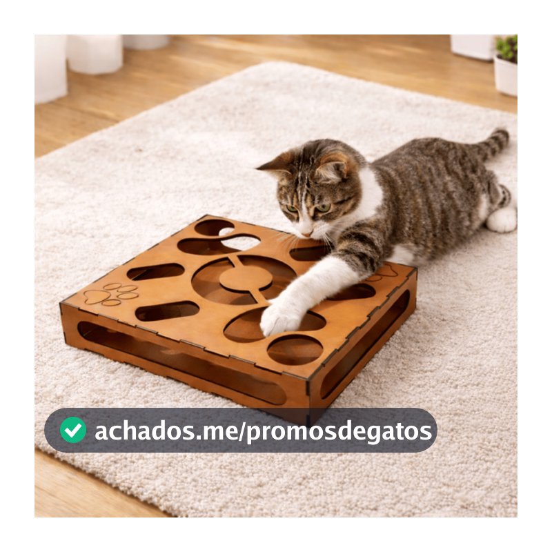 Brinquedo Labirinto Corre Corre Recreativo Interativo para Gatos