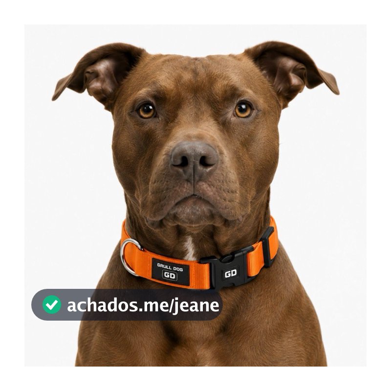 coleira para cachorro regulável resistente premium  pet ajustavel  pequeno medio grande porte