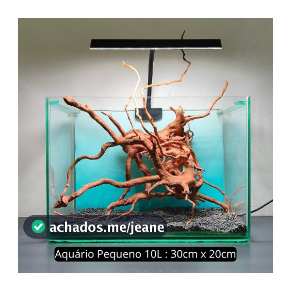 Raiz Tronco Natural 20 a 30 cm Decoração e Enfeite de Aquário Terrario e Lago - Artigos para aquario