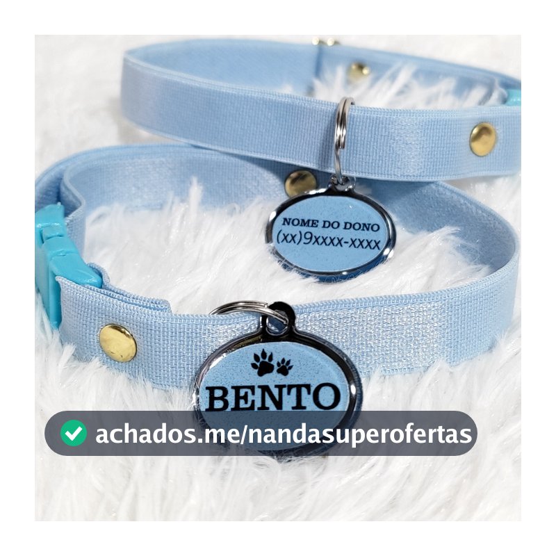 Coleira Gato com Pingente de Identificação Plaquinha Personalizada