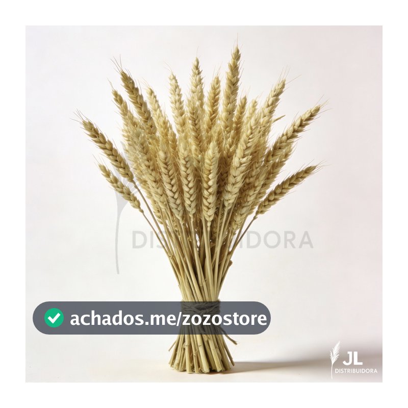 20 Hastes de Trigo Seco Decoração Farmhouse Enfeites para Sala Elegante Arranjo Artesanato Buquê
